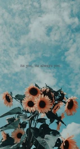 Always you 💞