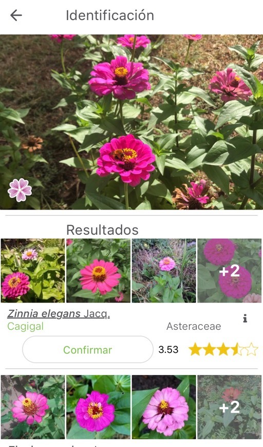 App PlantNet