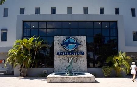 Lugar Mote Marine Laboratory & Aquarium