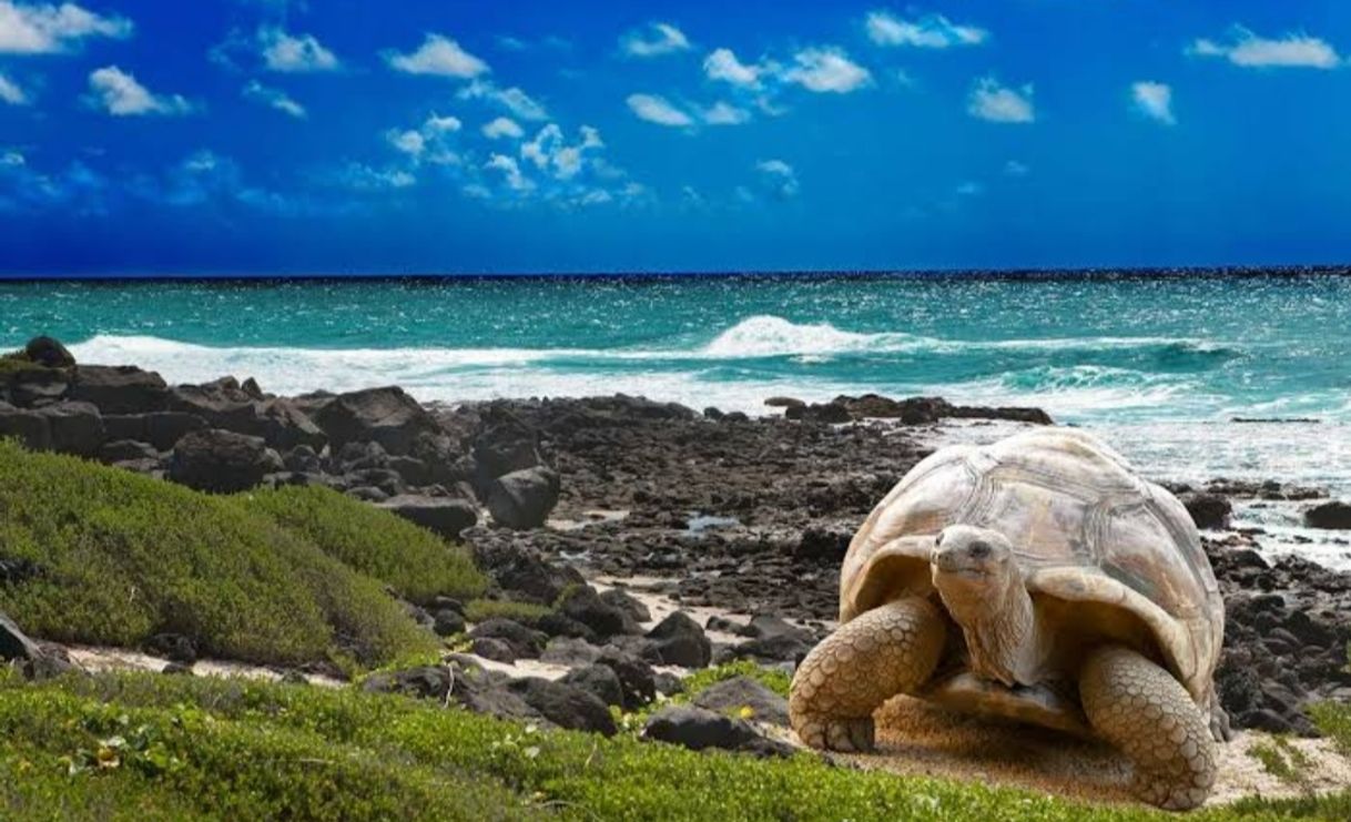 Lugar Islas Galápagos