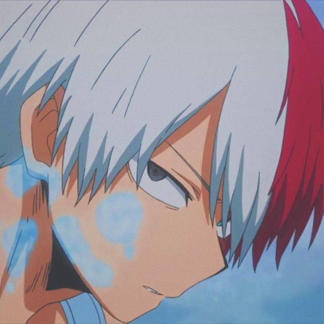 Social Todoroki