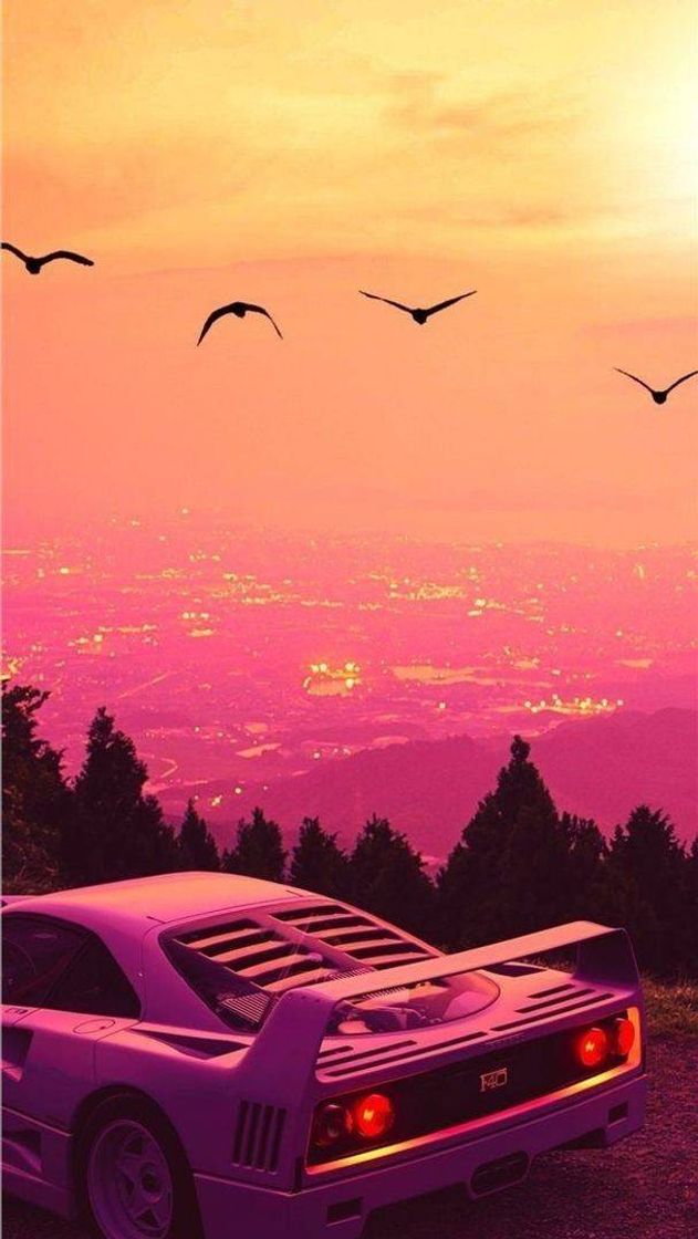 Social Wallpaper de tarde