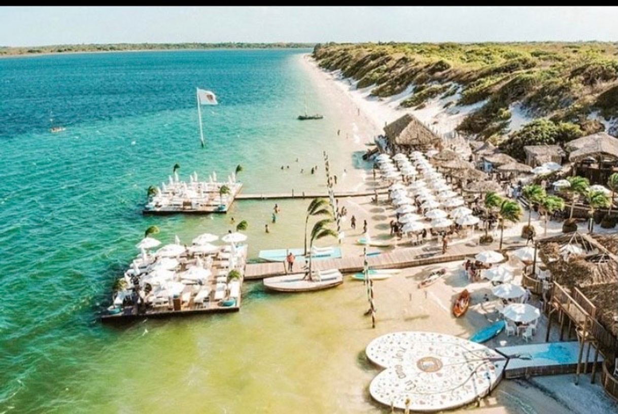 Restaurantes Alchymist Club - Lagoa Paraíso - Jericoacoara