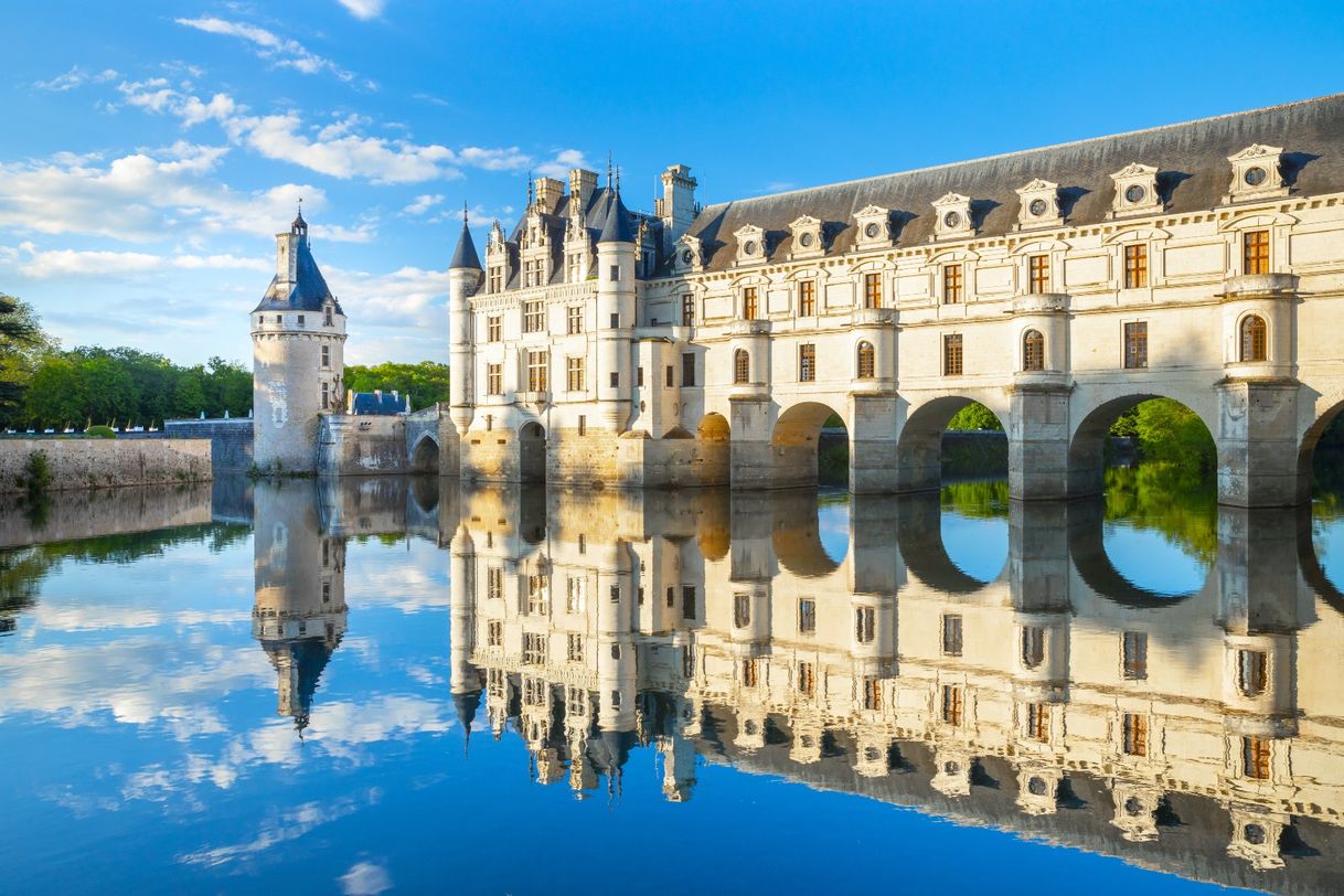 Place Castillo de Chenonceau