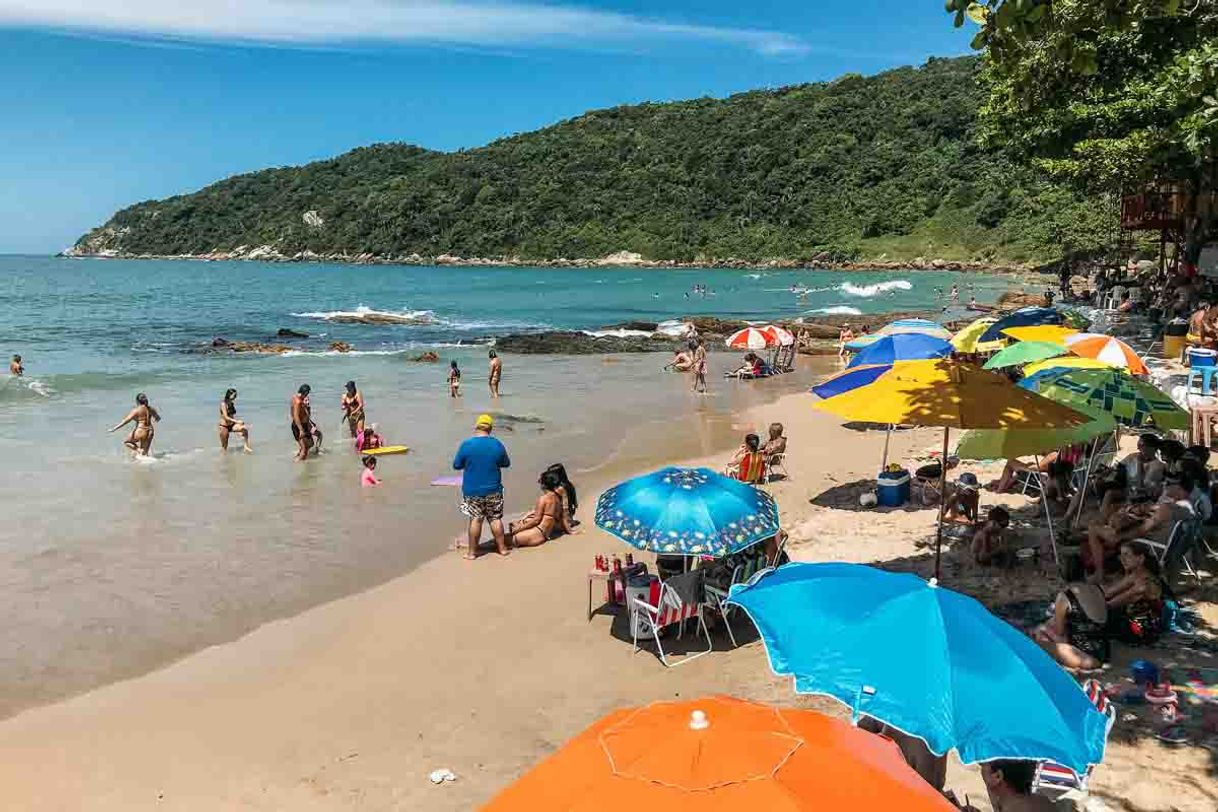 Lugar Praias de Santa Catarina