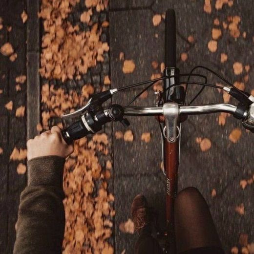 Outono na bike