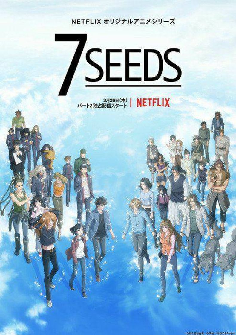 Moda 7Seedes