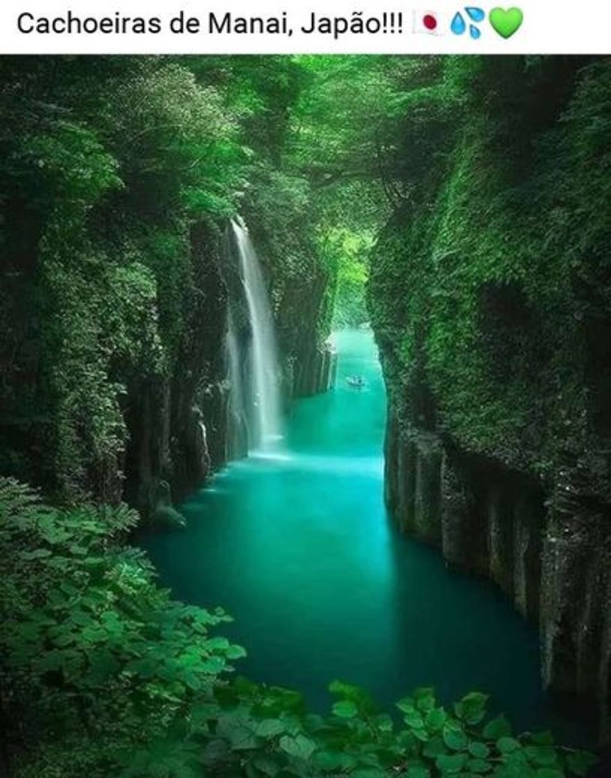 Social 🤗Manai Japão 