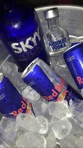 Red Bull Regular, Bebida energética - 24 de 250 ml.