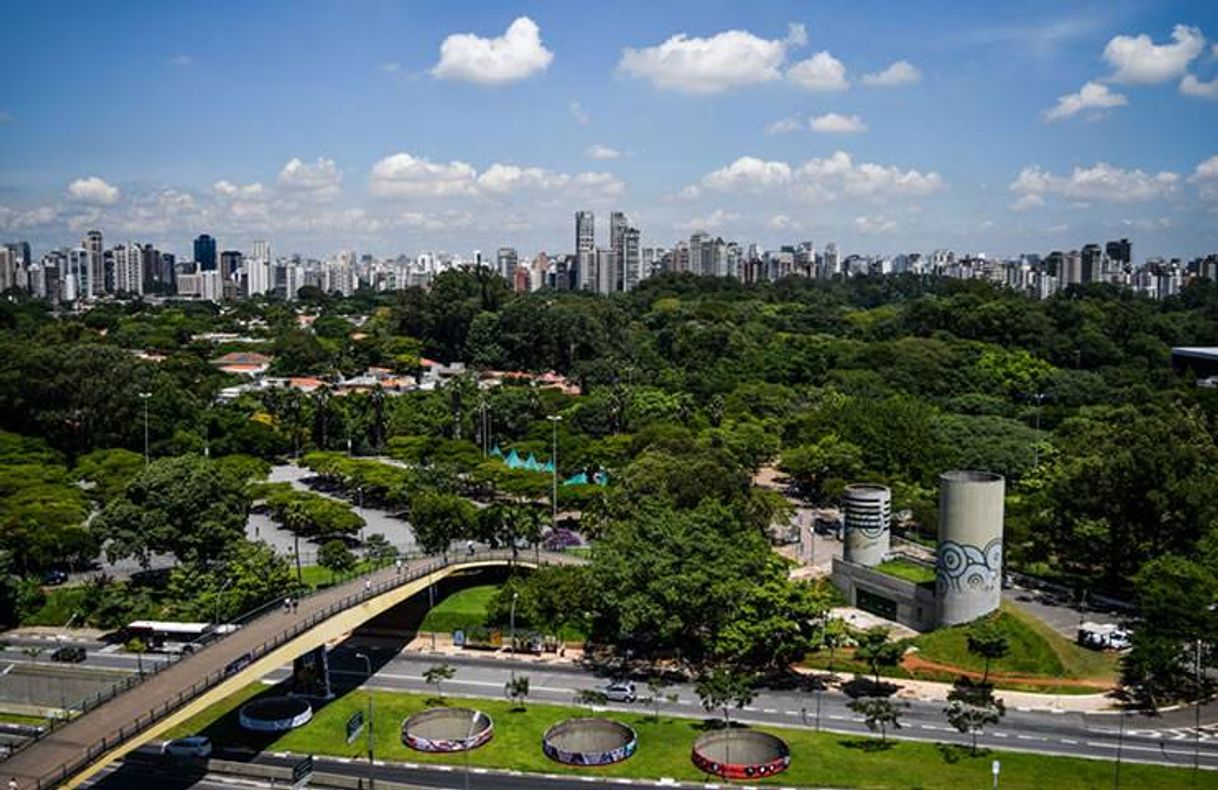 Place Ibirapuera