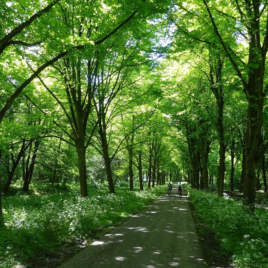 Place Amsterdamse Bos