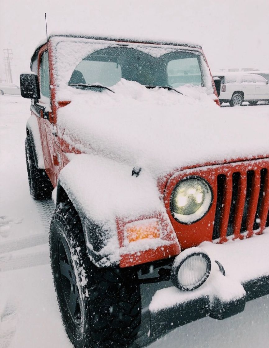 Fashion Jeep ✨