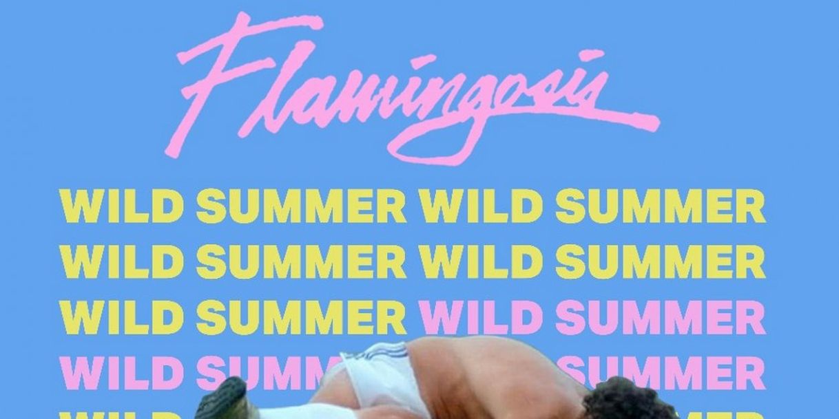 Canciones Wild Summer