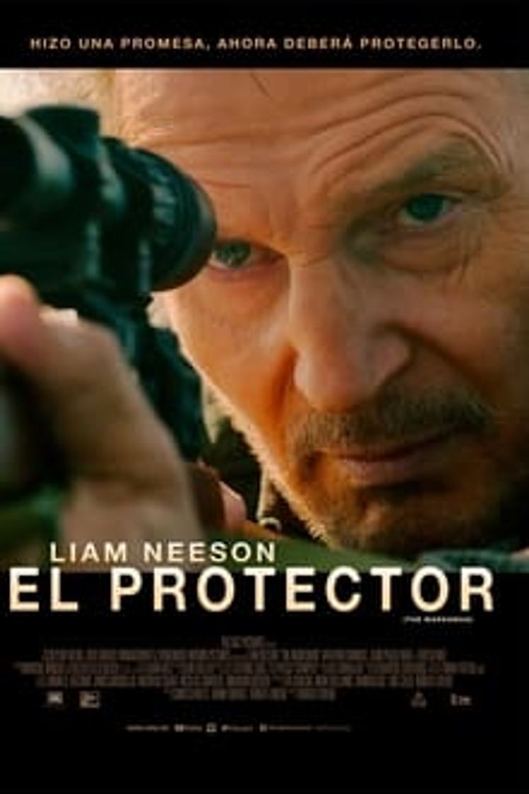 Película El protector