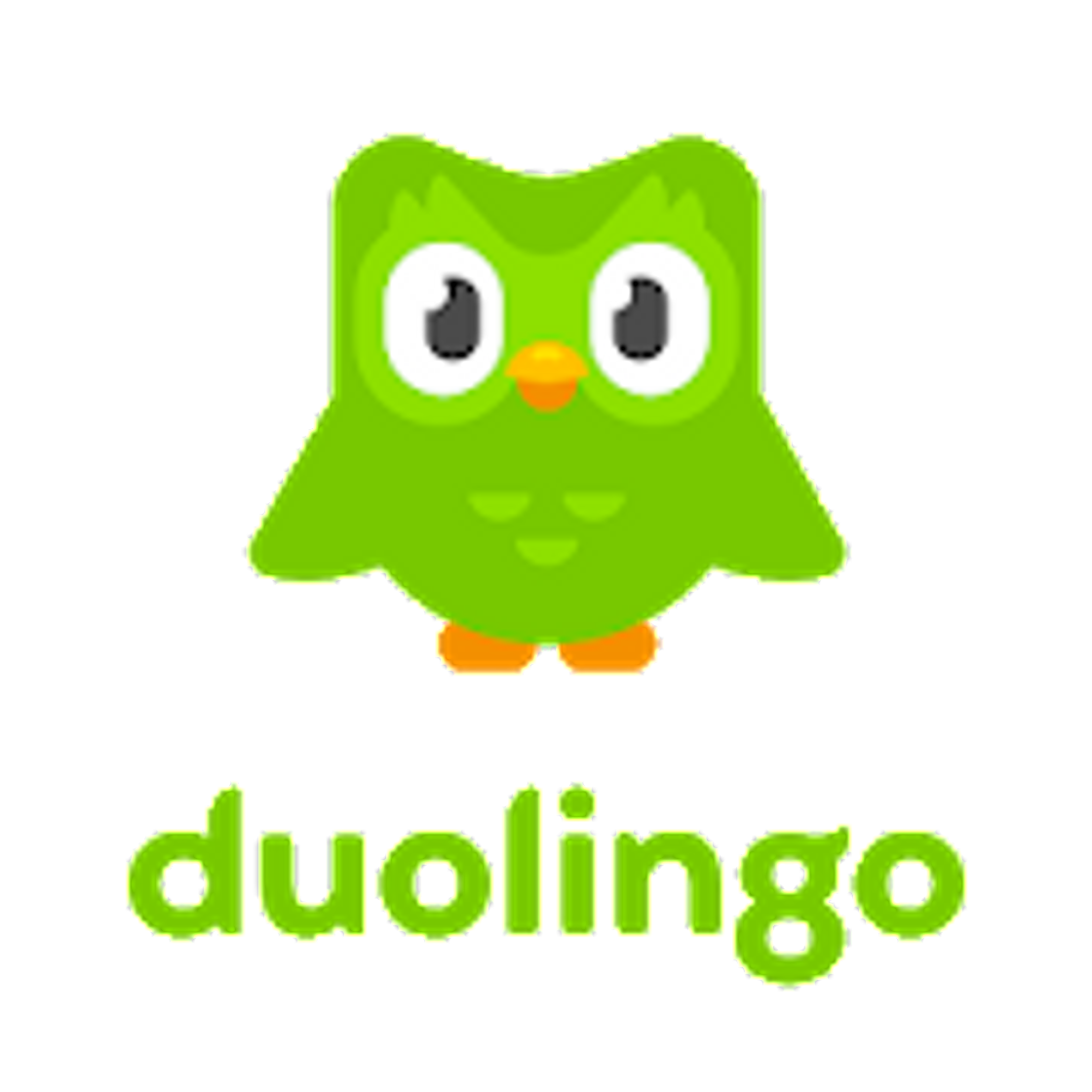 App Duolingo: aprende Idiomas