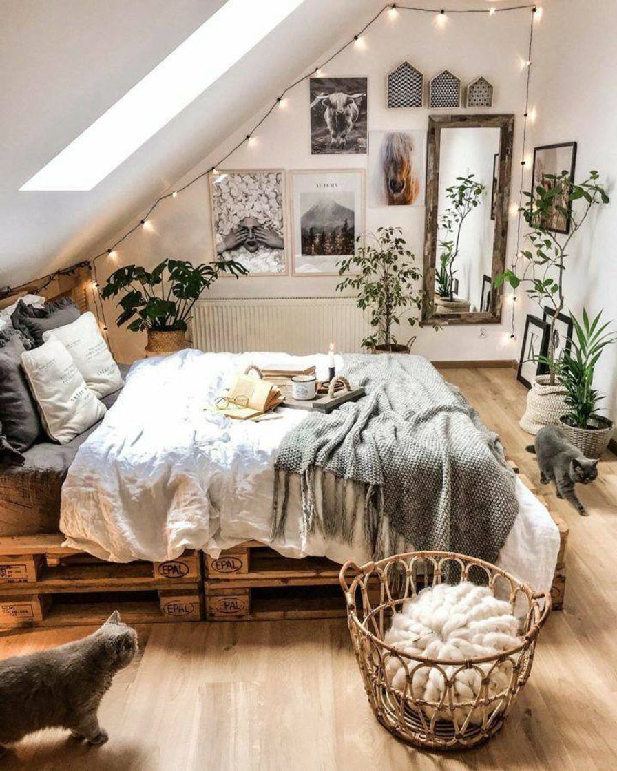 Fashion Quarto moderno e com plantas