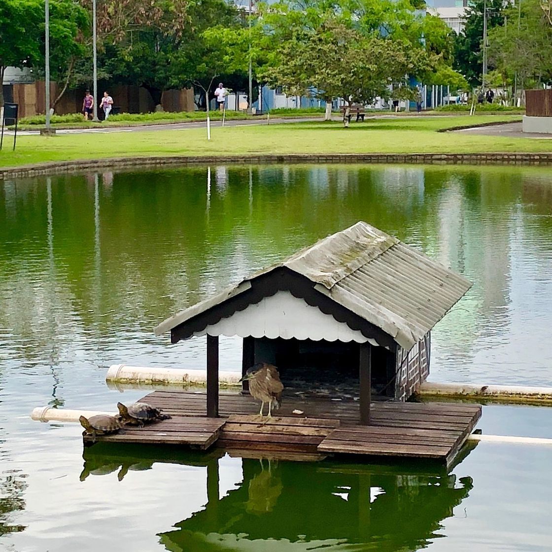 Place Parque Ramiro Ruediger