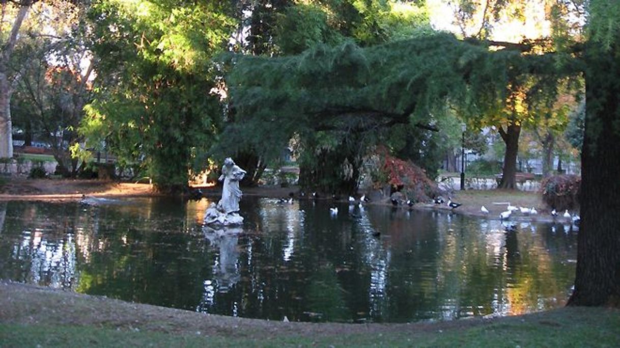 Lugar Jardim da Estrela