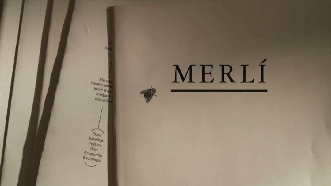 Serie Merlí