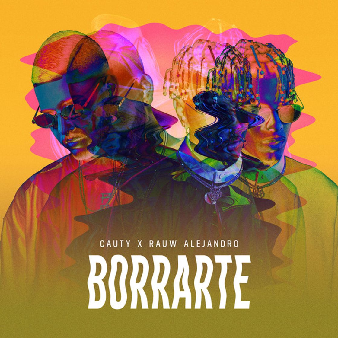 Canción Borrarte