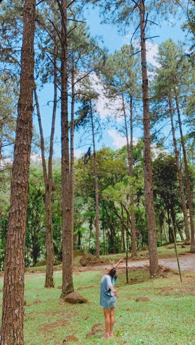 Lugar Área de Proteção Ambiental da Serrinha do Alambari