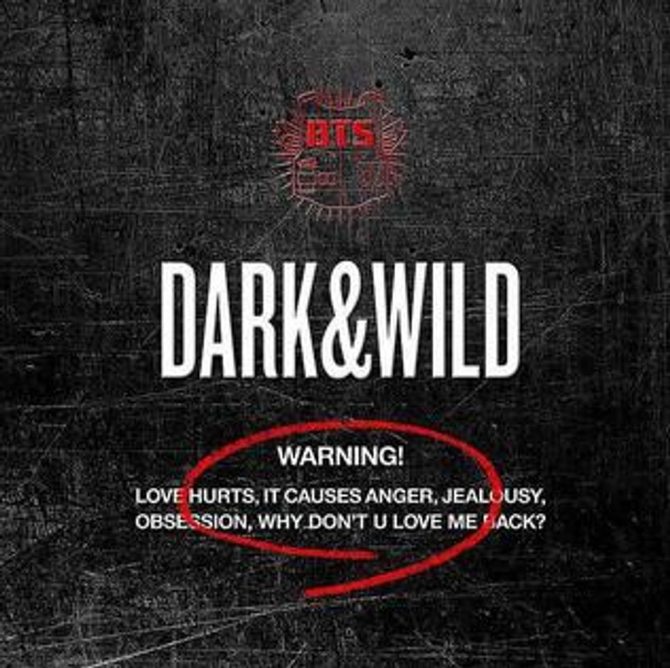 Fashion BTS Dark & Wild