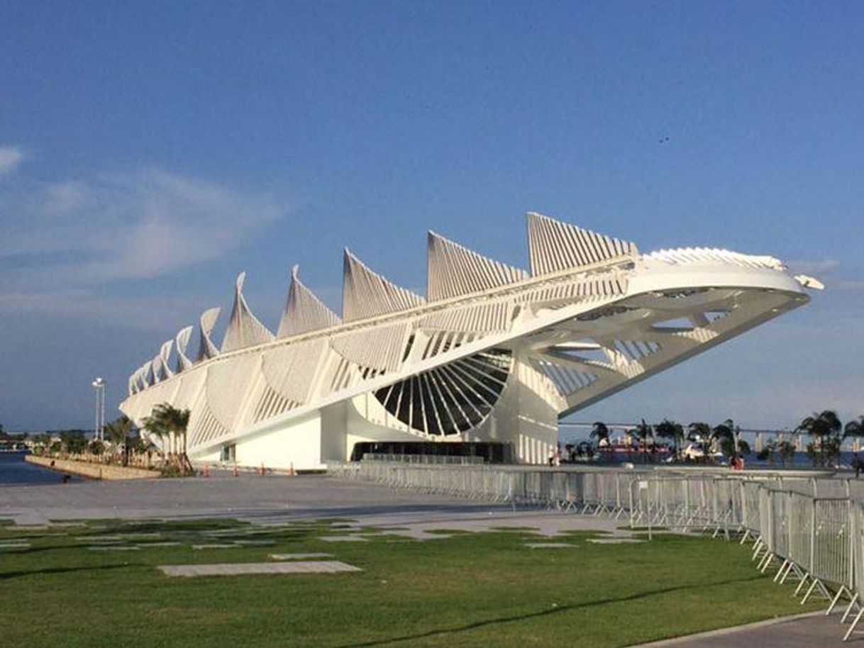 Place Museo del Mañana