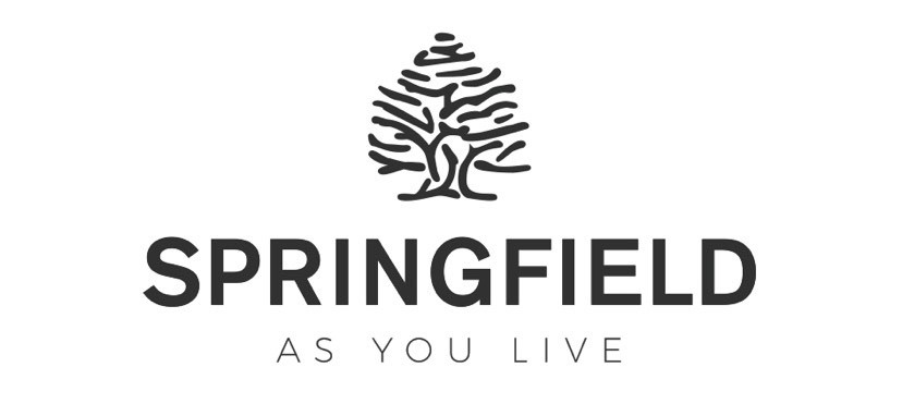 Social Springfield