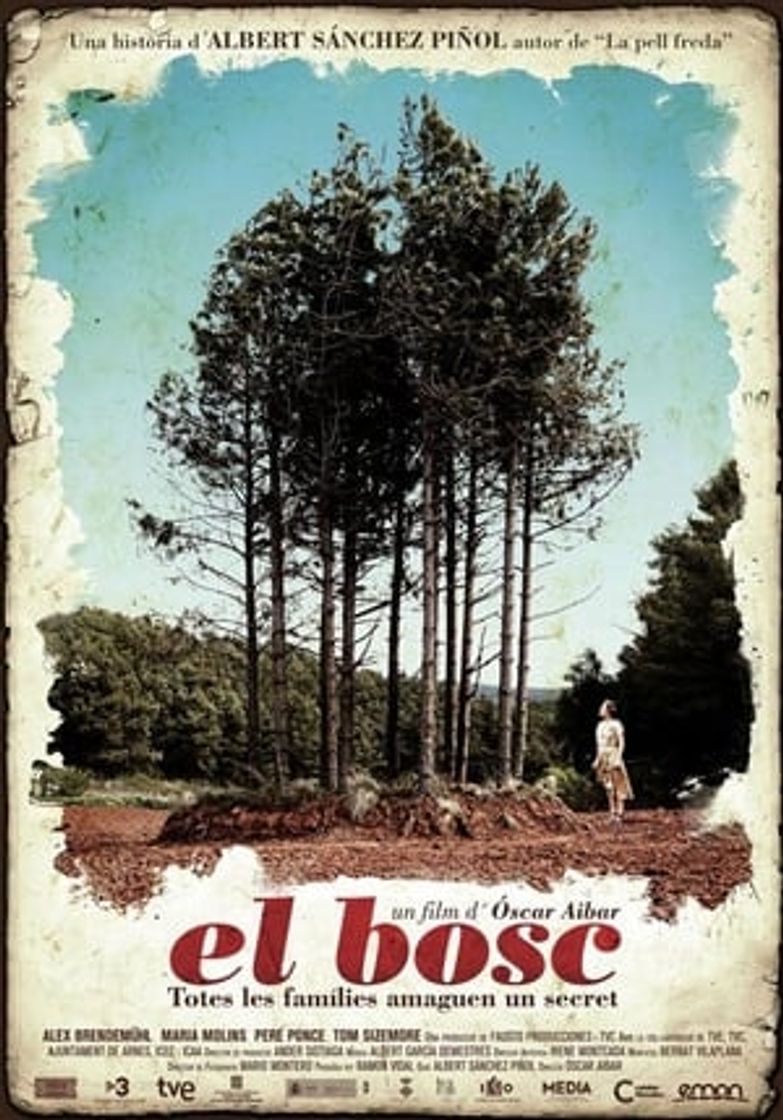 Película El bosque