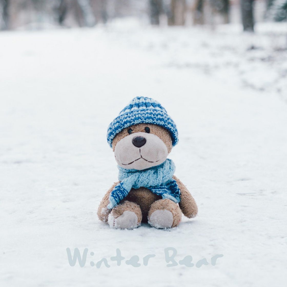 Canción Winter Bear