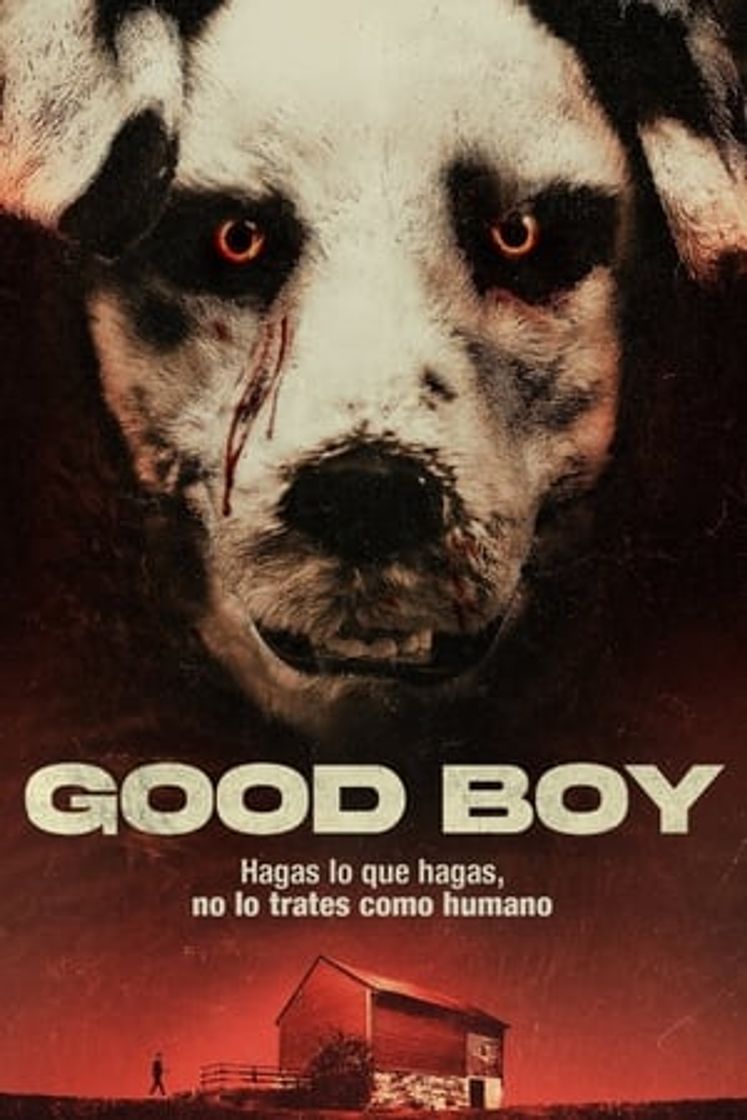 Película Good Boy