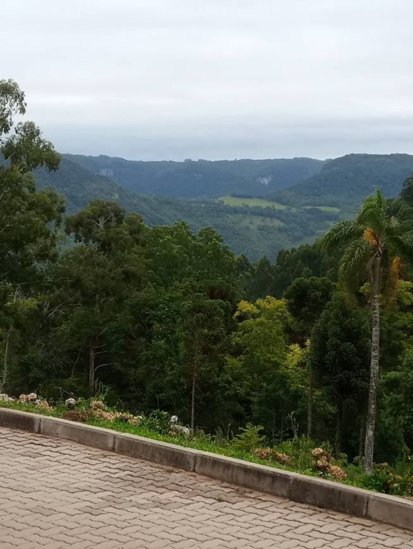 Lugar Olivas de Gramado