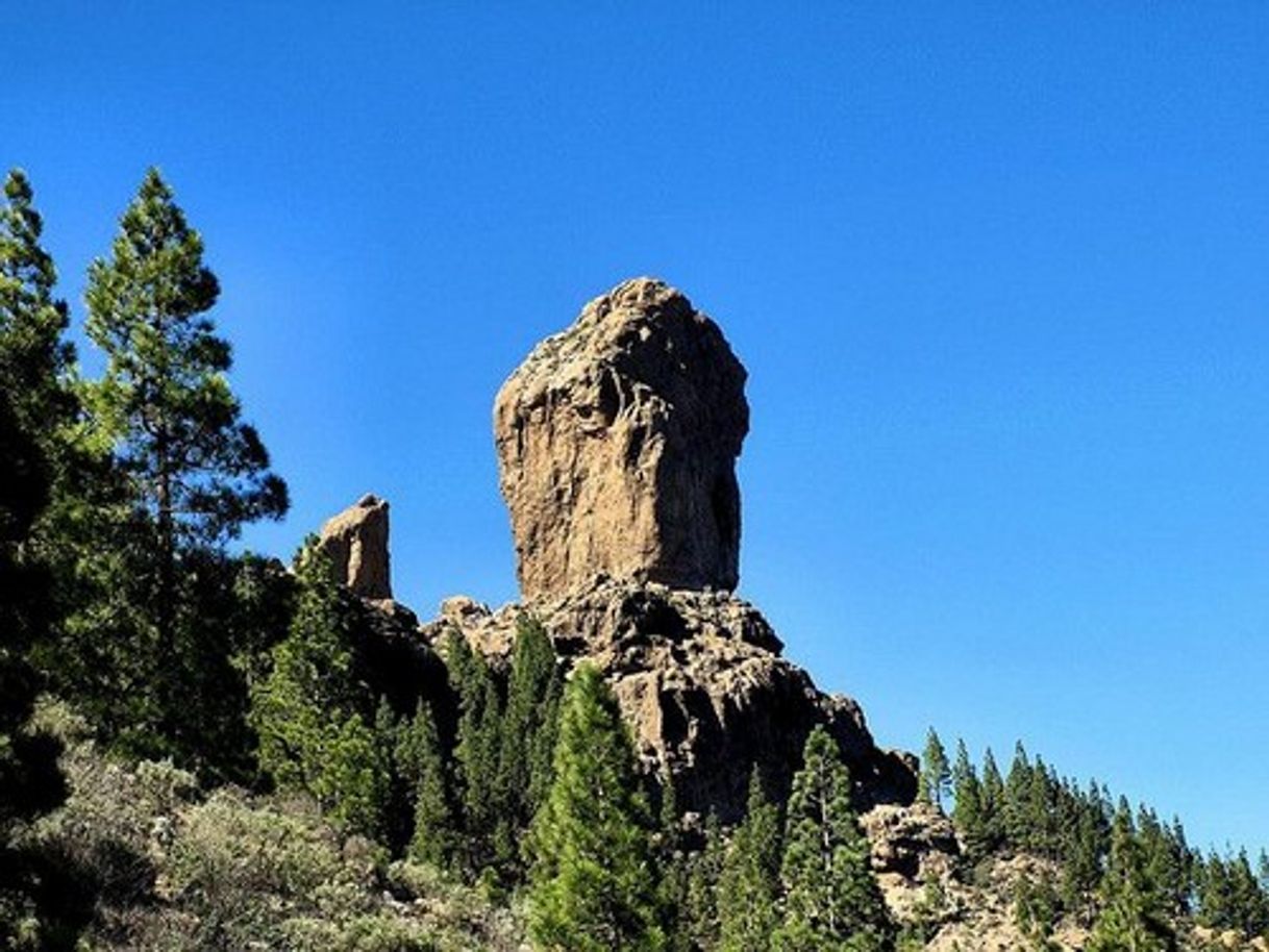 Place Roque Nublo