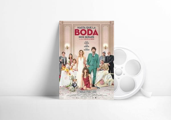 Movie The Wedding Unplanner