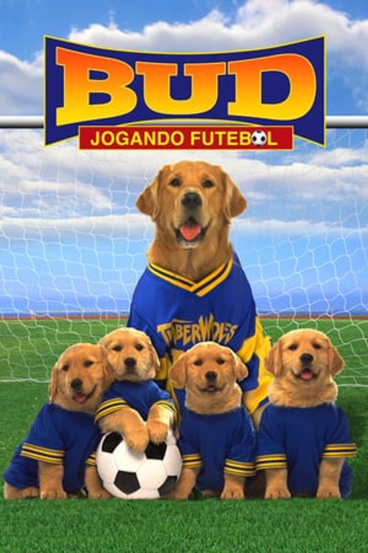 Película Air Bud 3: Los cachorros de Buddy