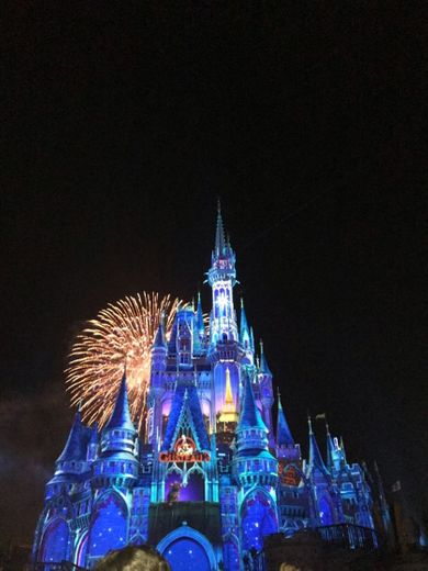 Disney World