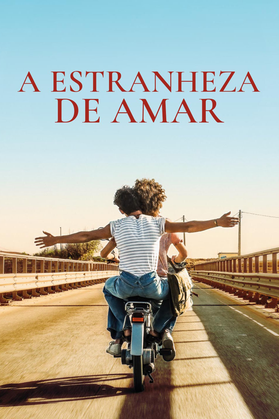 Social A estranheza de amar￼