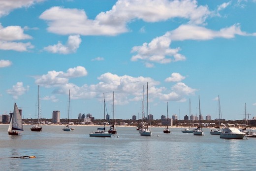 Puerto de Punta del Este