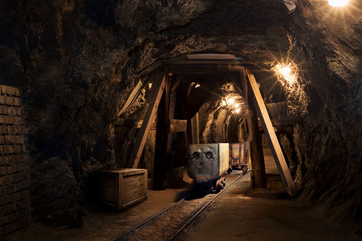 Social La Mina - Mina Madrid