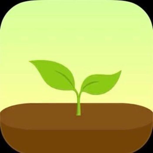 ‎Forest - Stay focused on the App Store