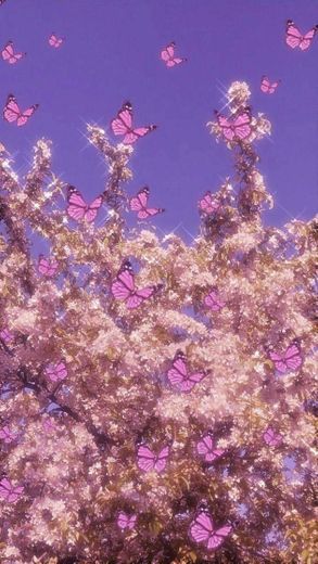 #Wallpaper #Butterfly # inspiração 💖