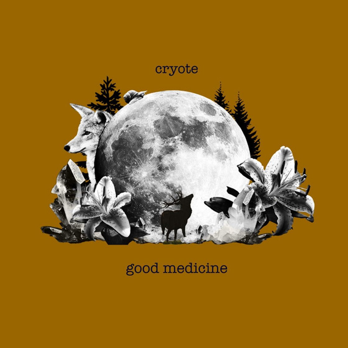 Music Good Medicine