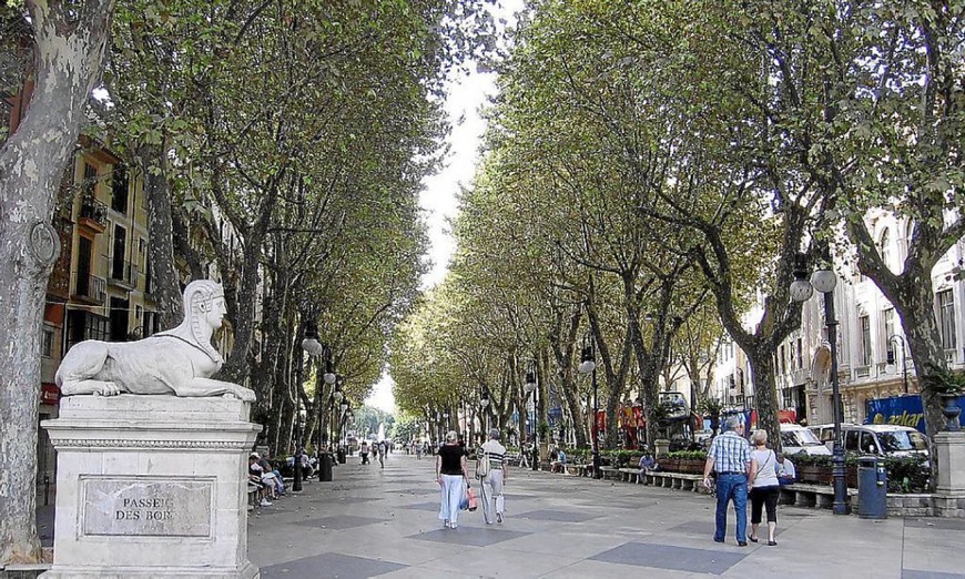 Lugar Passeig del Born