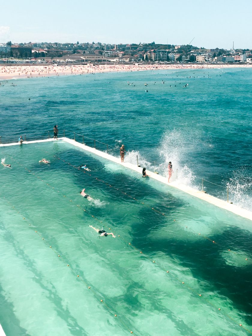 Place Bondi Beach