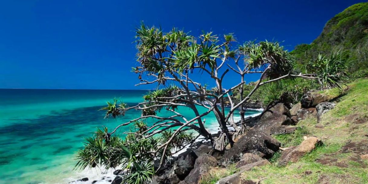 Place Burleigh Head National Park