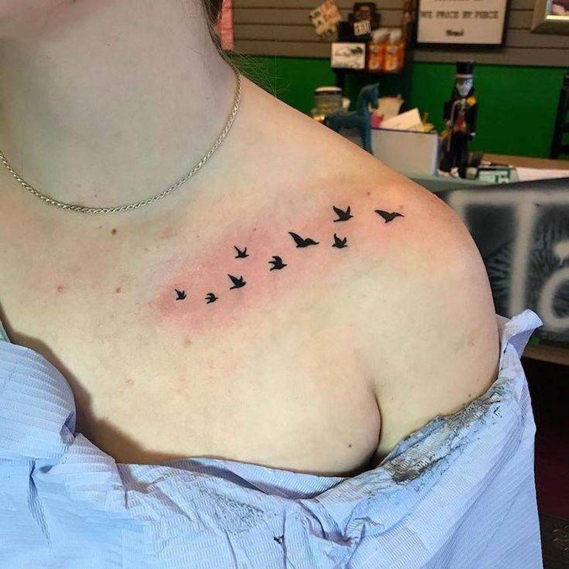 Social Pássaros 🖋️🕊️
