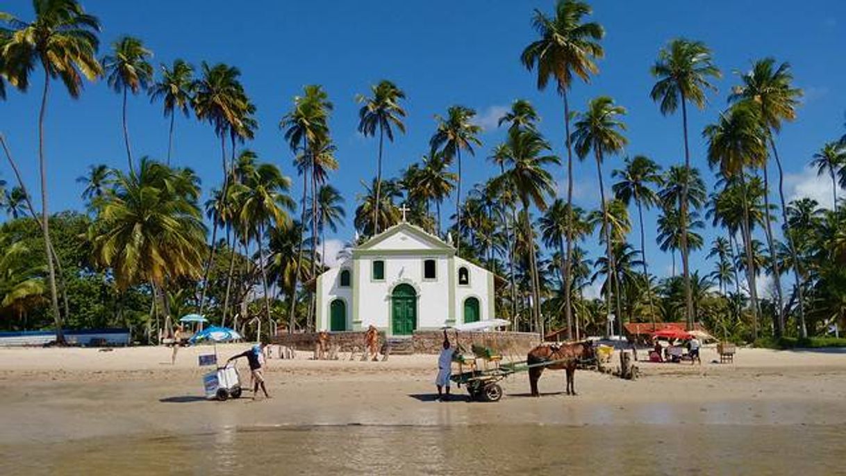 Place Praia dos Carneiros