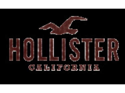 Hollister ES