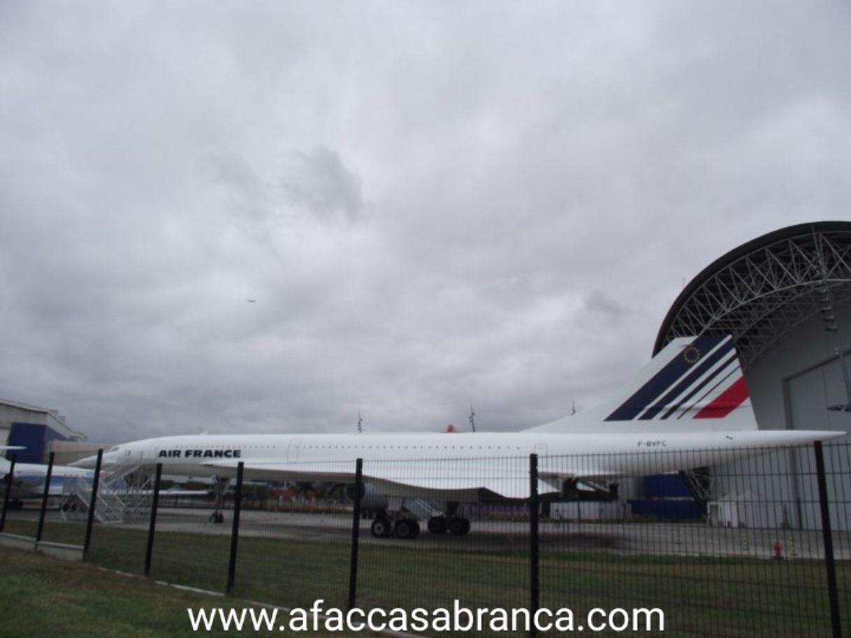 Social Concorde