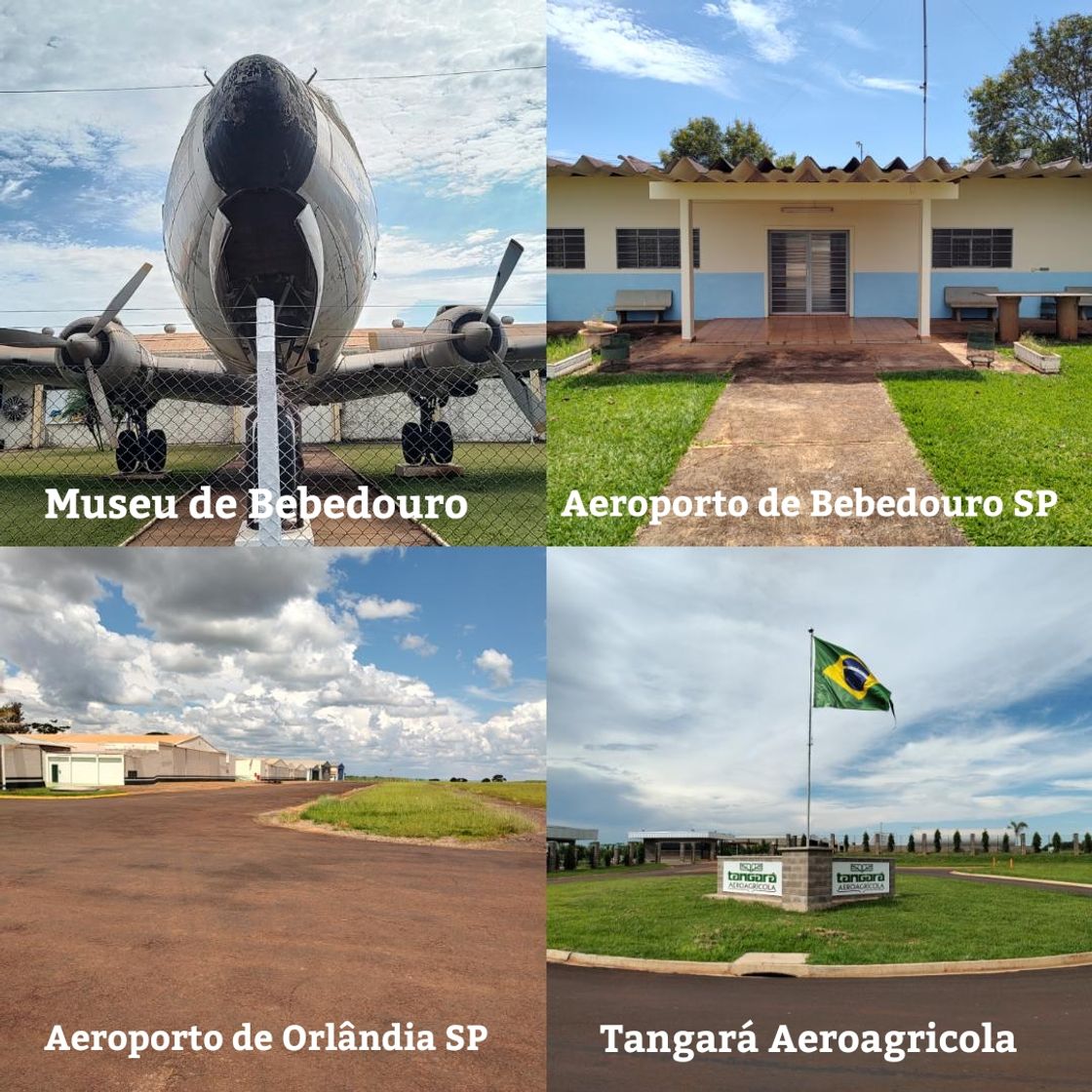 Social Dia 
